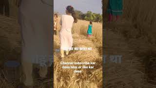 Download lagu 🙏gehun🙏 kata tha funny video #comedy #status WhatsApp 🙏🙏 channel🙏🙏 subscribe kar dena bhai mp3 Download lagu 🙏gehun🙏 kata tha funny video #comedy #status WhatsApp 🙏🙏 channel🙏🙏 subscribe kar dena bhai mp3