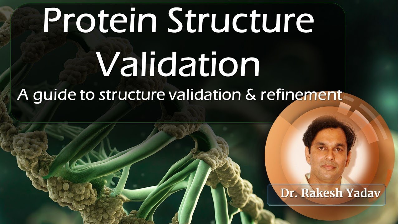 Protein Structure Validation and Refinement