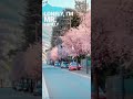 Lonely Akon Lonely I M Mr Lonely New English Song WhatsApp Status