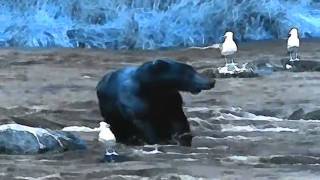 solar panel asses fuck shit bored