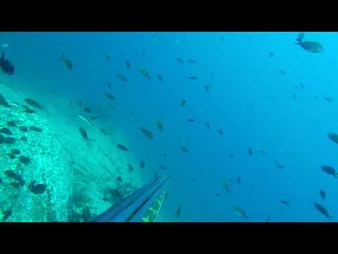 SpearFishing Kavala 30 06 19