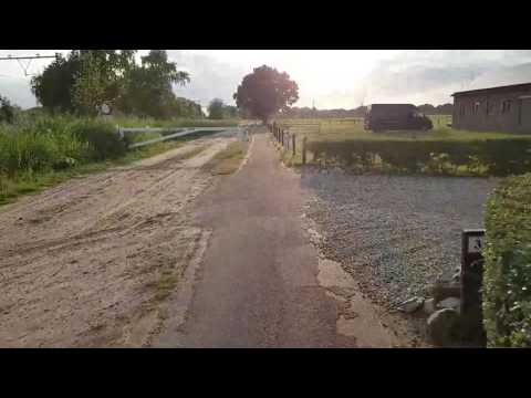 Ede Kievitsmeent - Veenendaal de Klomp