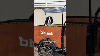 giveaway at the end!! thank you for the memories @Bunch Bikes ♥️ #ebike #dogmom #dogcancer #training