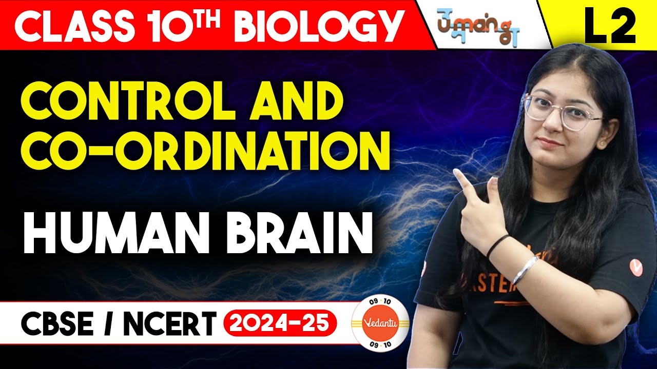 Human brain Class 10 | Control and Coordination | Class 10 Science Chapter 7 | UMANG