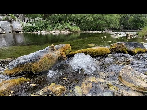 Texas Water Newsroom