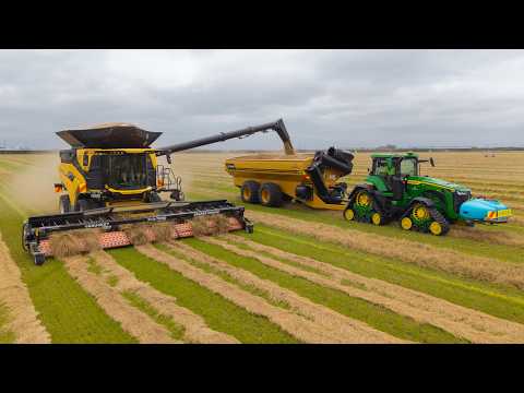 NEW HOLLAND CR11 Twin Rotor Combine Harvesting Grass Seed