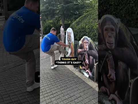 Testing Human Strength Vs Wild Animals