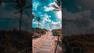 9:16 Sky No Copyright Video | Tree Copyright Free Videos | Clouds Free