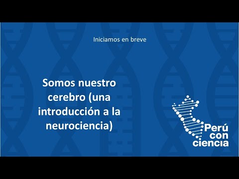 Somos nuestro cerebro (una introducción a la neurociencia)