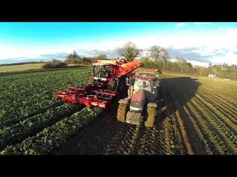 Agrifac 12 row sugar beet harvester HexxTraxx