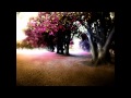 Michael Stearns - The Light In The Trees