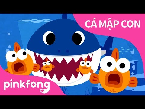 Cá Mập Con | Baby Shark Vietnamese | Bài hát về Động Vật | Pinkfong! Những bài hát cho trẻ em