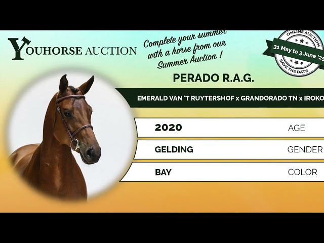 Perado impression video at the show