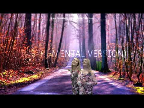 Sture Zetterberg - Walking on Cloud Nine (Instrumental Version)