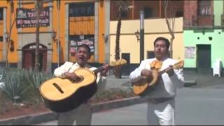 preview picture of video 'Mariachis en Alvaro Obregon - Mariachis Economicos - T: 24588938'
