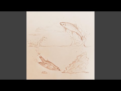 The Bird and the Fish