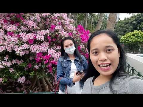 GARDEN FLOWER'S #hk #explorehk