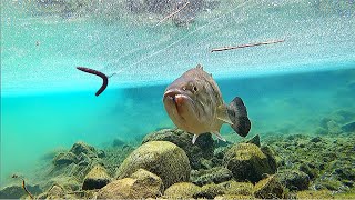 DROPPING A GOPRO UNDERWATER AND FISHING AROUND IT!