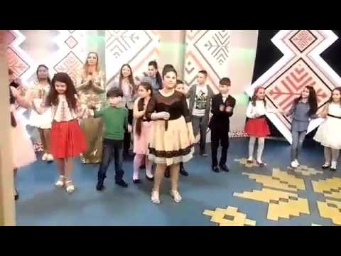 Madalina de la varnita