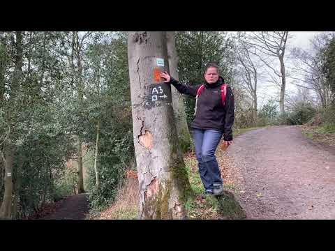 Blinkis Blog 2 - BaldeneySteig-Teilstück