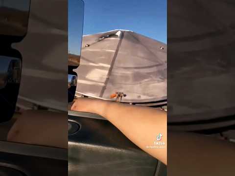 Is this NLO 🛸👽 #shorts #alien #aliens #nlo #viral #trending