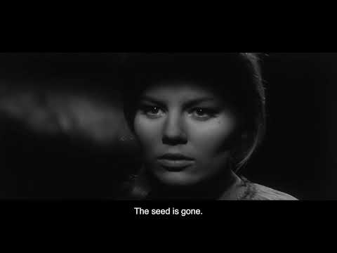 Thumbnail of the video: THE GOLDEN FERN (1963) Restoration Trailer
