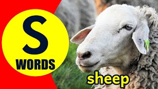 Words Starting With S - Learn Words that Start with S Sound