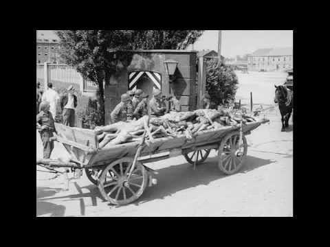 Jameca's hero journey