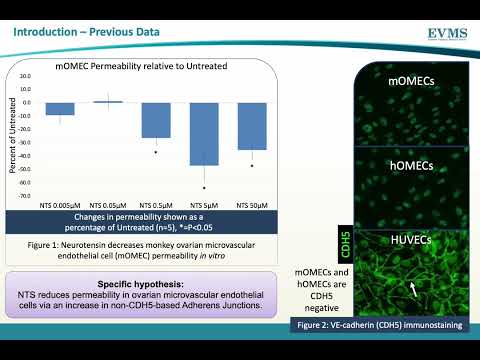 Thumbnail image of video presentation for Neurotensin as a Novel Regulator of Vascular Permeability in the Ovarian Follicle.