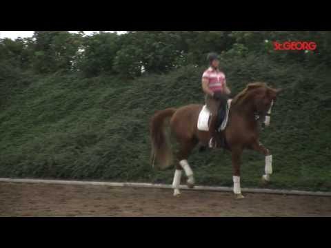 Bella Rose Isabell Werth Training 2011