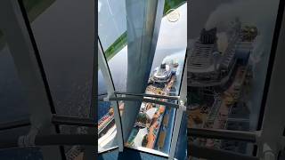 Wonder of the Seas Tour 2026 🚢 #usashorts #cruisetour
