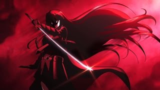 Akame Ga Kill - Give Me Everything You've Got AMV