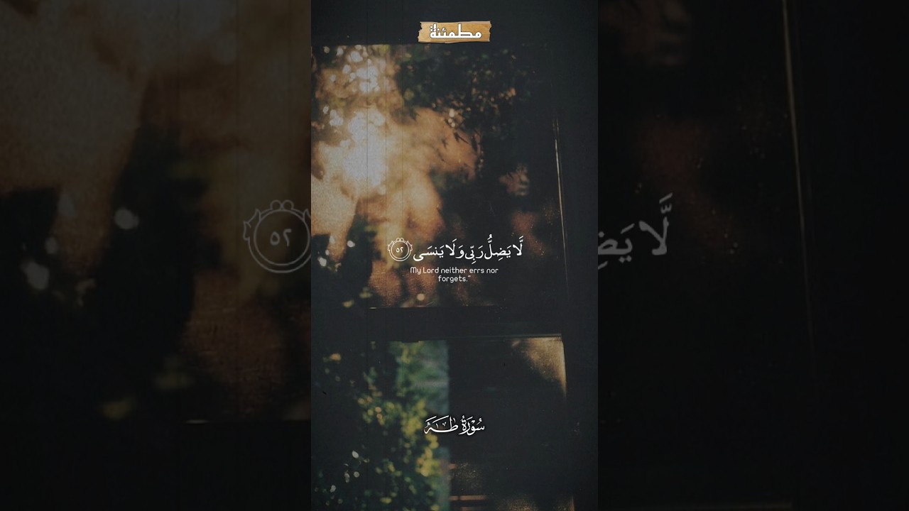 لا ي ض ل ر ب ي و لا ي نس