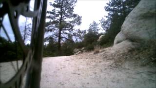 Chilao Descents - Mt. Mooney Road, Mt. Hillyer Trail and Silver Moccasin Trail.