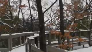 preview picture of video 'wildcat canyon, starved rock state park, utica, IL 2012 Jan'