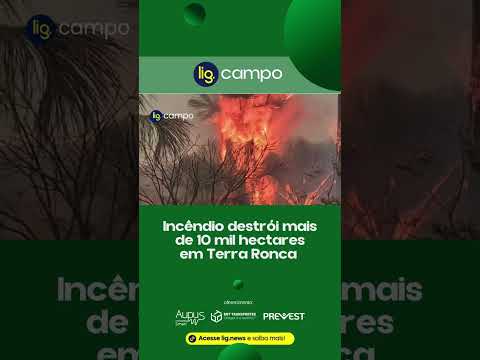 Incêndio destrói mais de 10 mil hectares em Terra Ronca – 13/08/2026 – Lig News