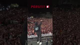 Download lagu 🇵🇪 ULTRA PERÚ: ALAN WALKER mp3