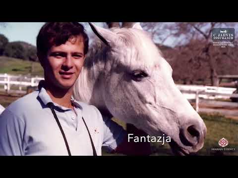 Brazilian National Arabian Horse Show 2023   Tribute to Paulo Jamil Saliba