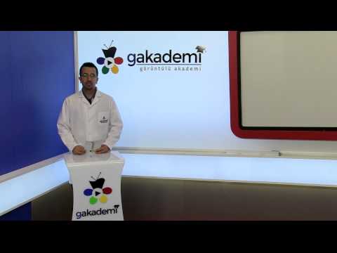 Yüksek Mahkemeler Hangileridir?