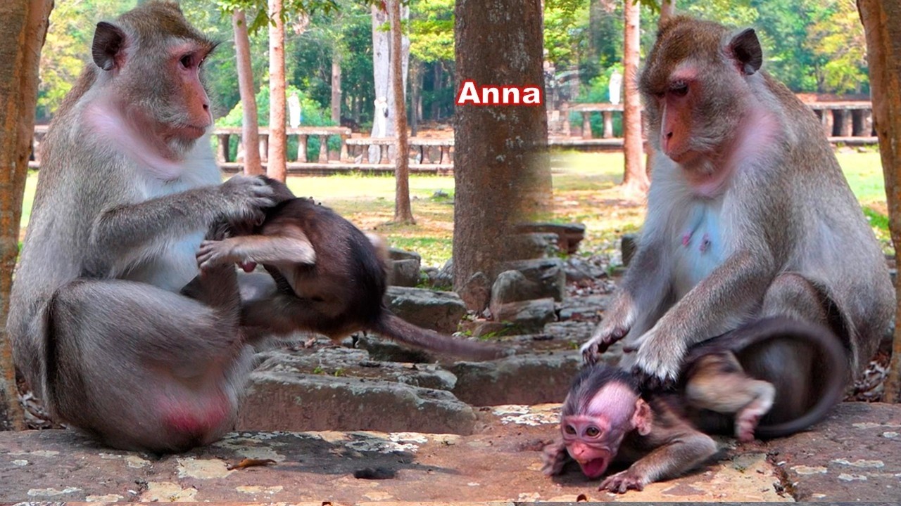 Anna still has difficulty disciplining her daughter while her daughter is 3 months old