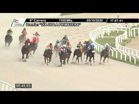 201005 c09 - PREFERENCIAL "DÍA DE LA PRIMAVERA" -  VANGUARDIA 1° - HIPODROMO LAS PIEDRAS