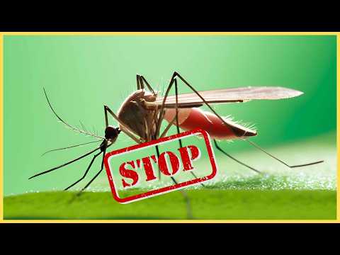 Beurer BR 10 : Mon Test Complet de l'Anti-Piqûres