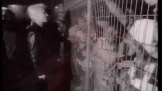 ROXETTE- PERFECT DAY