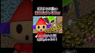 どうぶつの森の「恐怖のドッキリ」をしてみた結果...ww【Twitch切り抜き】【どうぶつの森】#shorts #ドッキリ #切り抜き