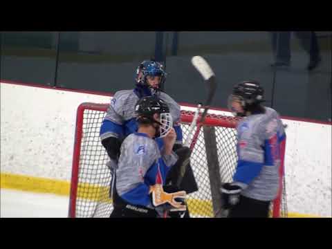 Otto in net for the Warriors! July 2020