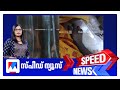സ്‌പീഡ് ന്യൂസ് 06 30 PM ഒക്ടോബര്‍ 03 2025 Speed News