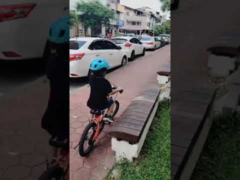 16吋捷安特腳踏車