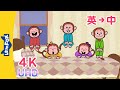 4K 五只小猴子 Five Little Monkeys Sing Alongs English To Chinese Songs For Kids Little Fox