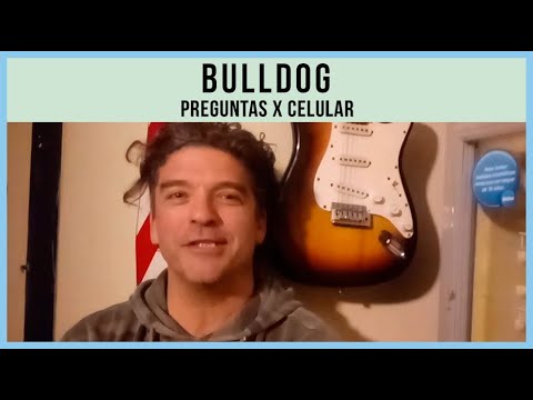 Bulldog video Preguntas x Celular - Julio 2019