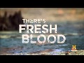 Swamp People Season 4 Trailer